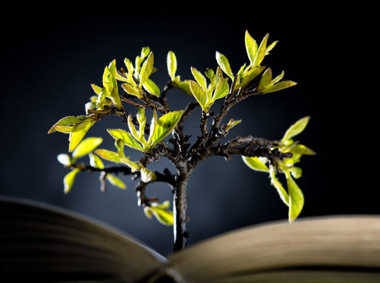 what-is-a-merkle-tree